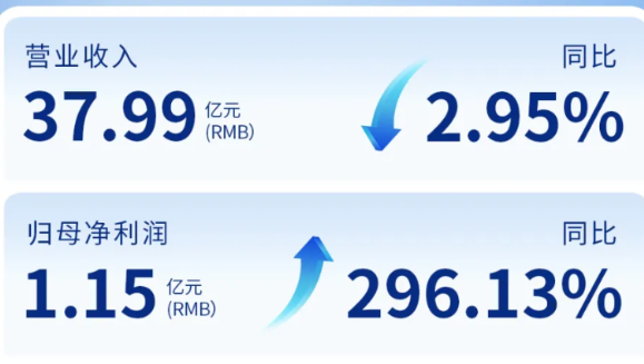 今年会（002219）发布2024年年度报告：归母净利润增长296%